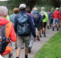 Wandelen 4