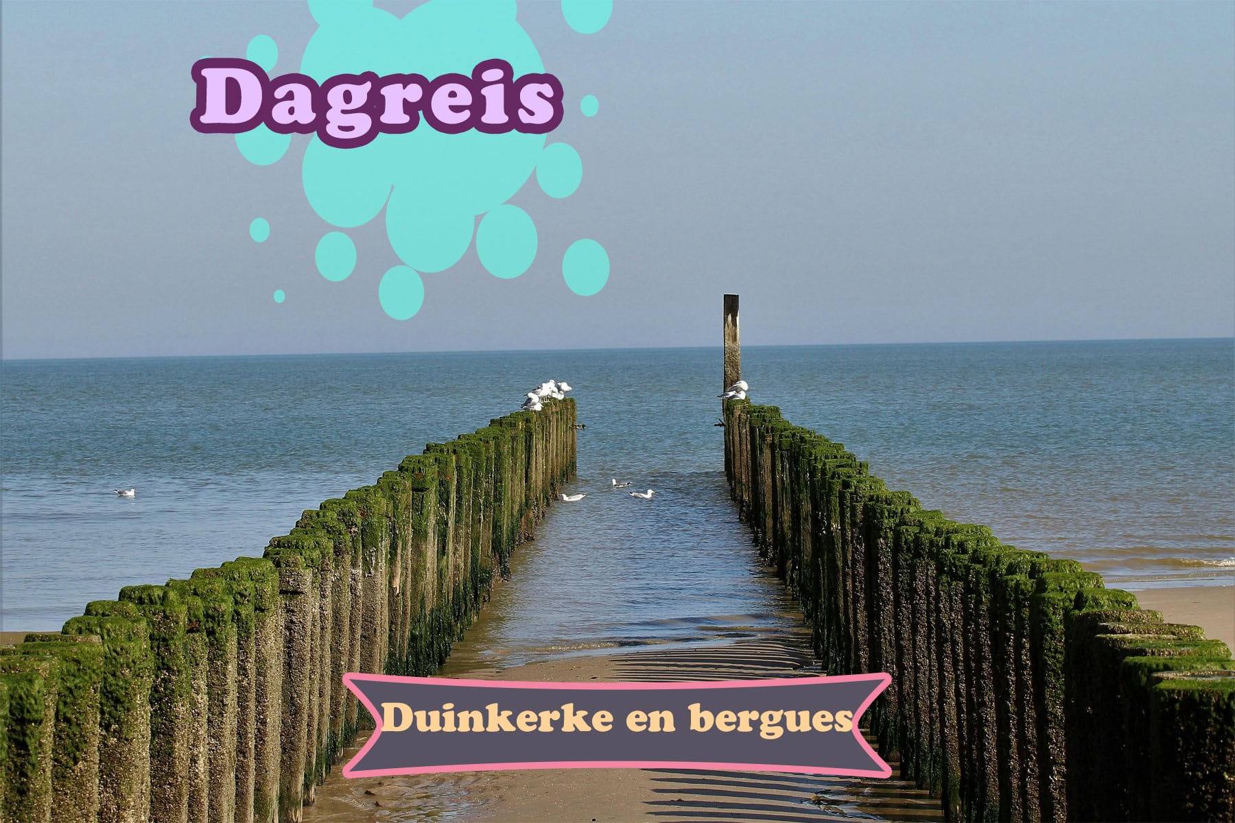 Dagreis Nieuw