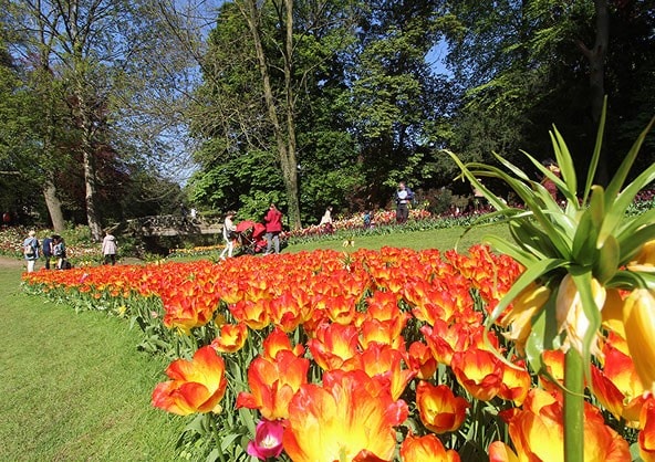Floralia