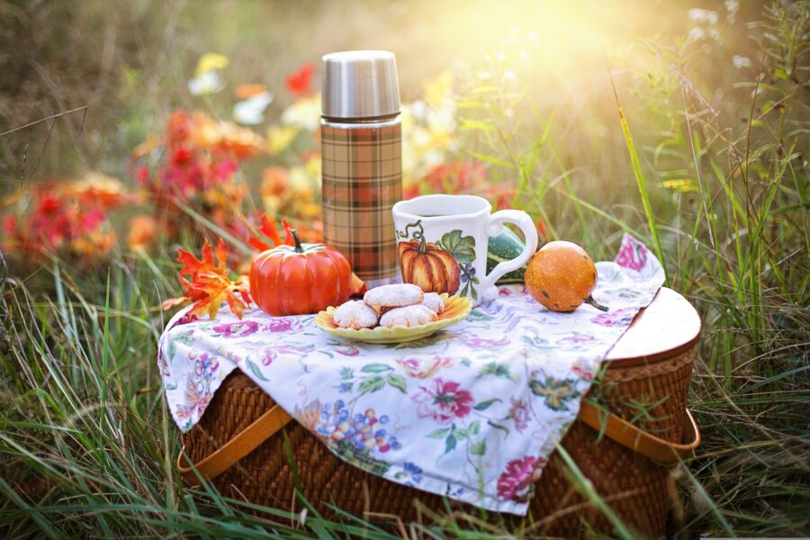 jillwellington-autumn-4579561 picknick picnic pick nick