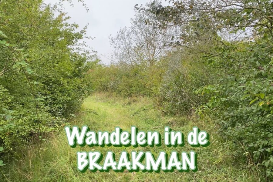 Wandelen Braakman