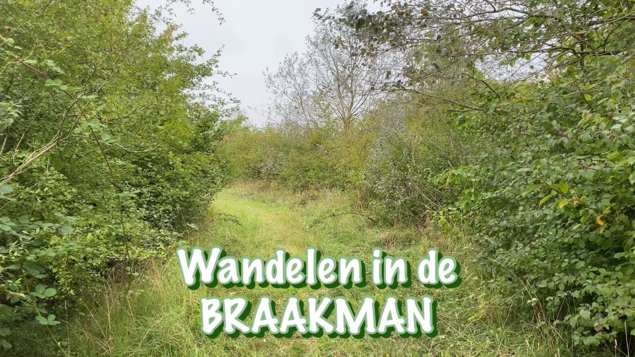 Wandelen Braakman
