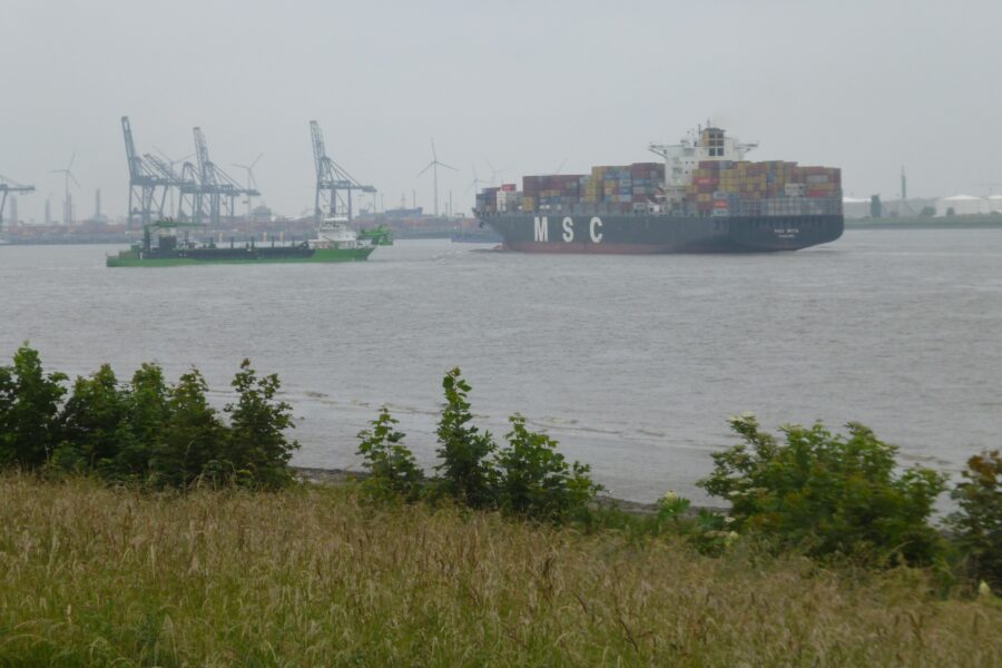 2018 Okra Haven Antwerpen 5 Juni (28)