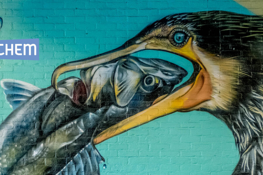 2026 05 09 Street Art Berchem Aalscholver