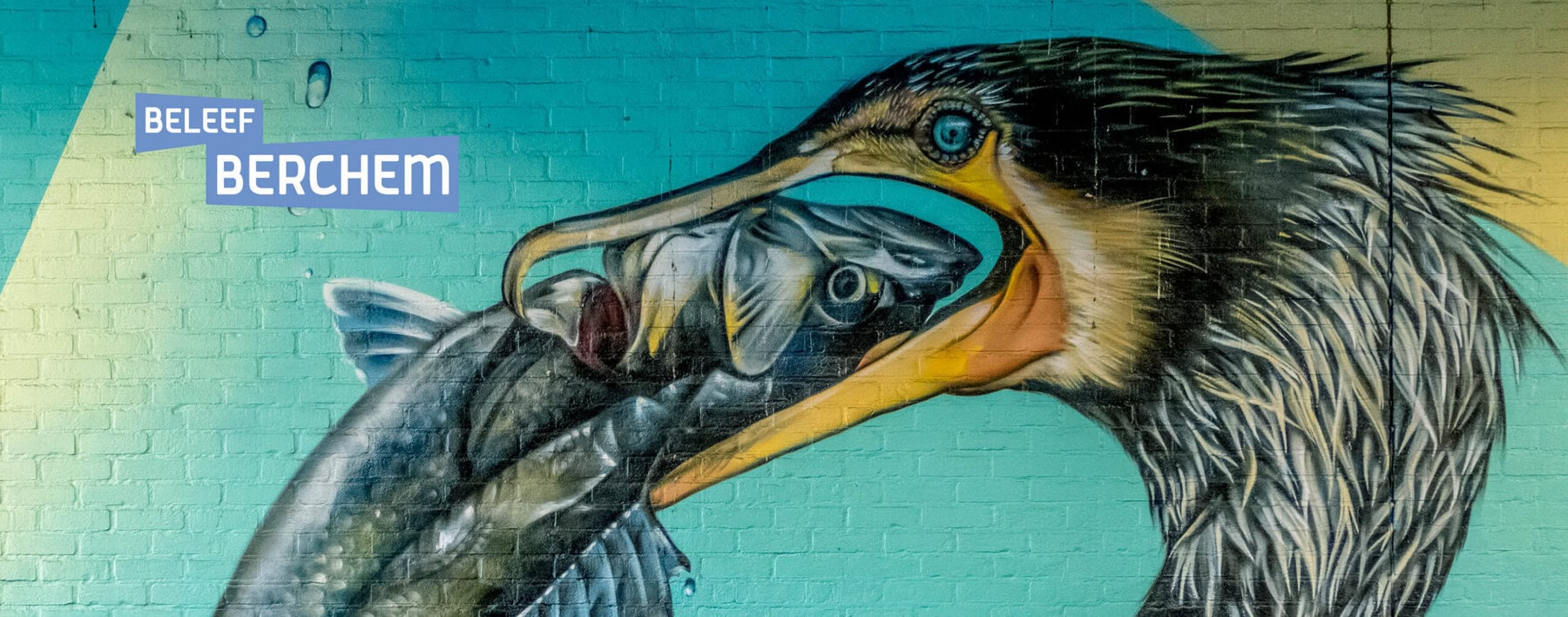 2026 05 09 Street Art Berchem Aalscholver