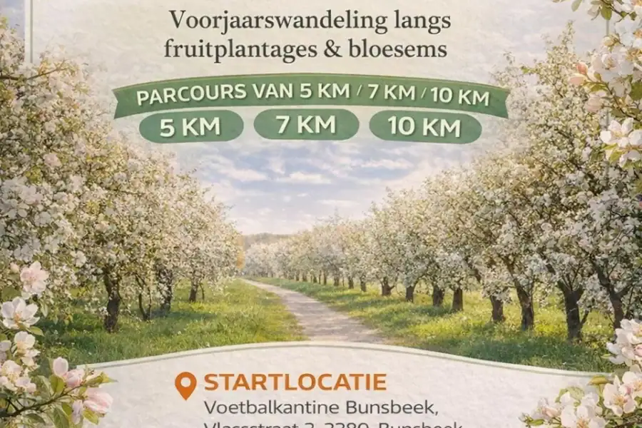 Bloesemtocht 2026 In Het Mooie Hageland 2026 04 07 073623 Plun