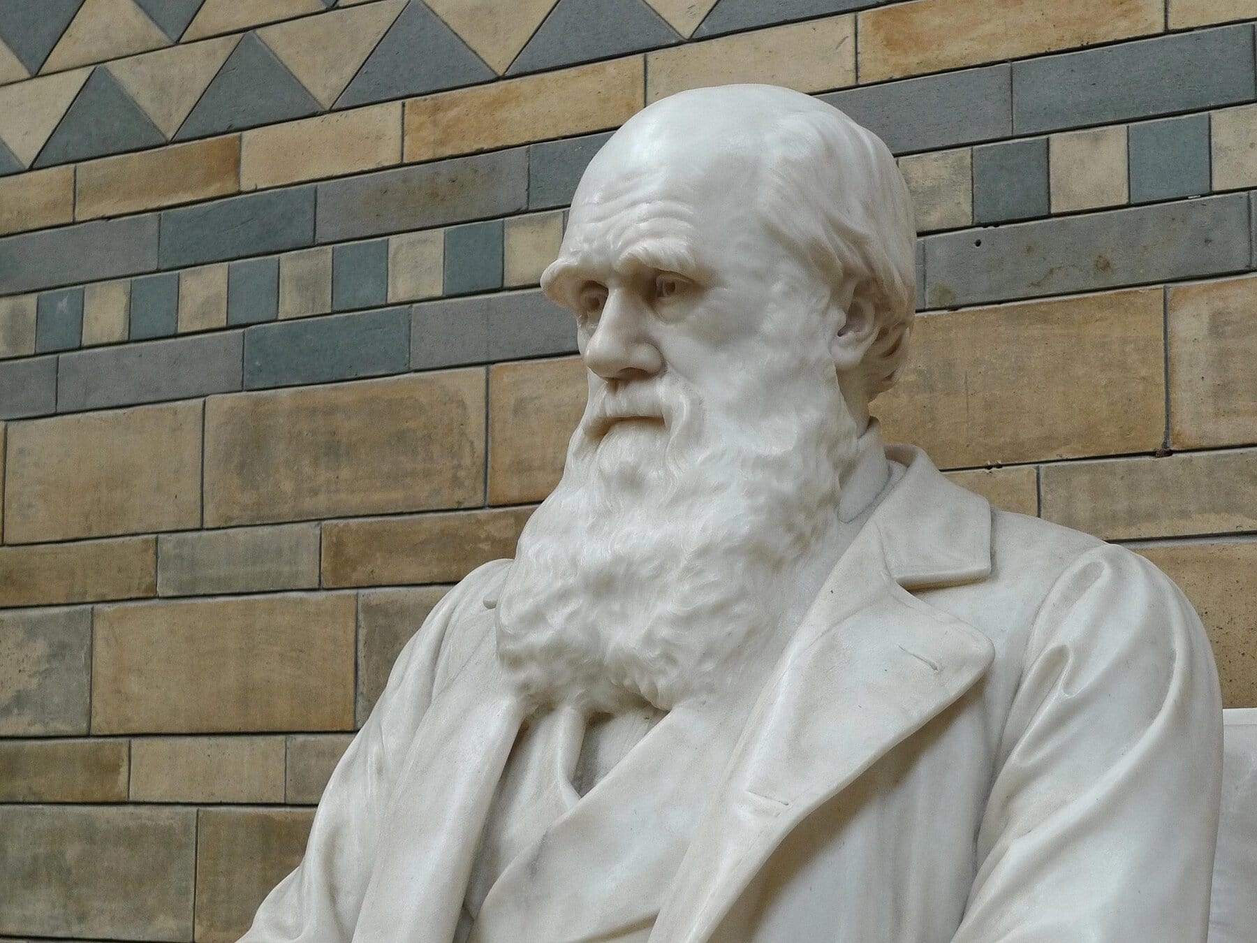 Darwin