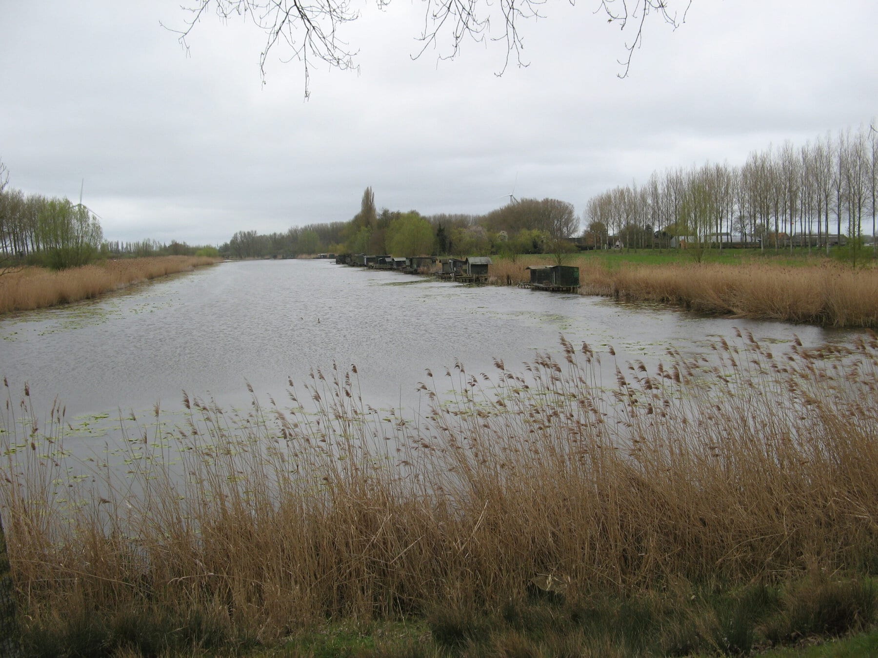 Palingfietstocht