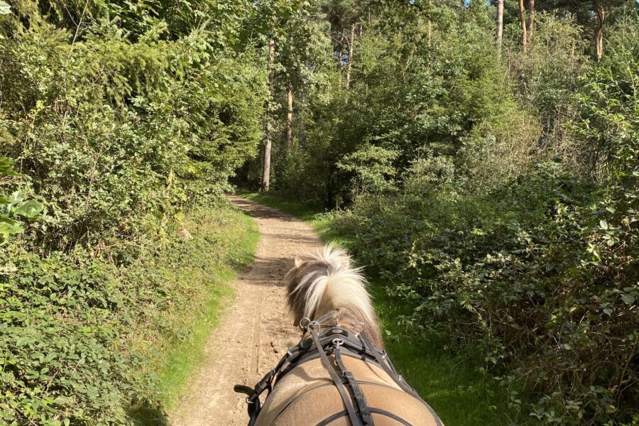 Huifkarrentocht