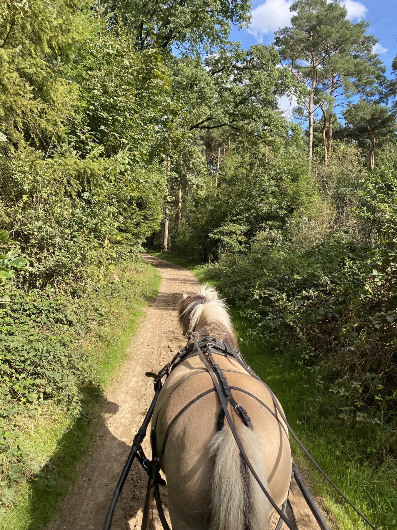 Huifkarrentocht