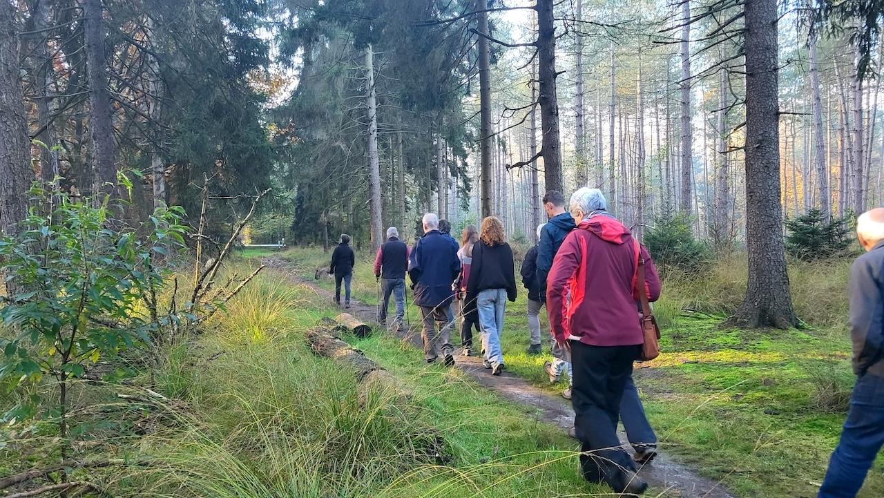 Wandelen
