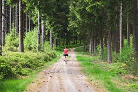 Dagwandeling