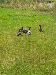 Photo 2026 06 23 09 02 21
