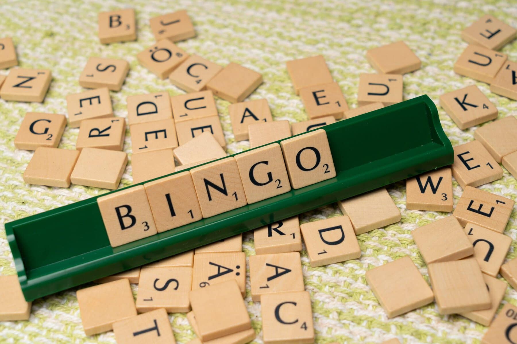 Bingo
