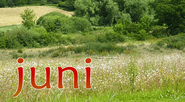 Juni
