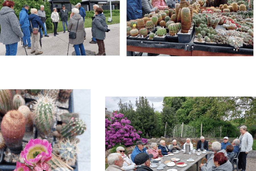 Op Wandel In Beverlo