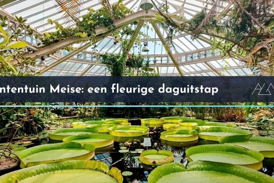 2026 09 27 Meise Foto