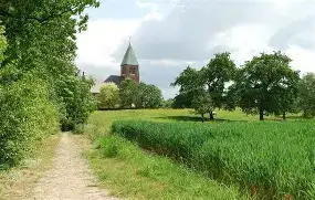 Oip