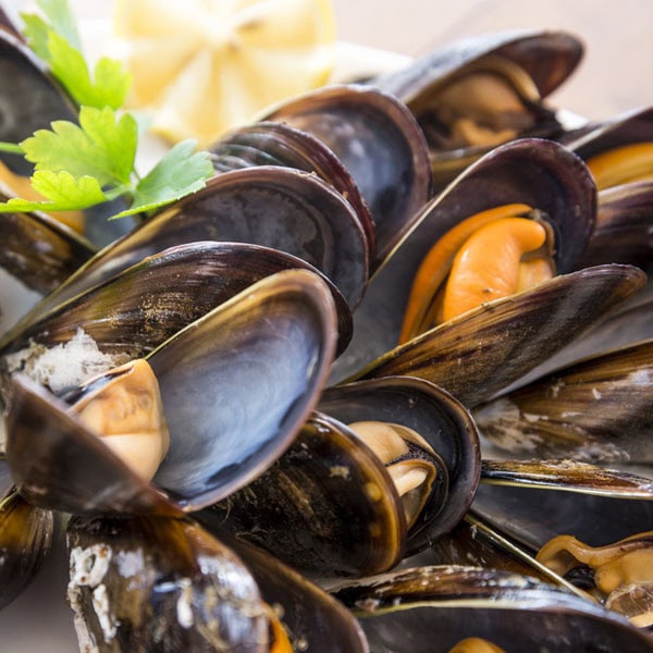Mossel