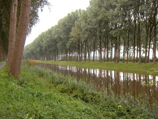 Afbeelding 6