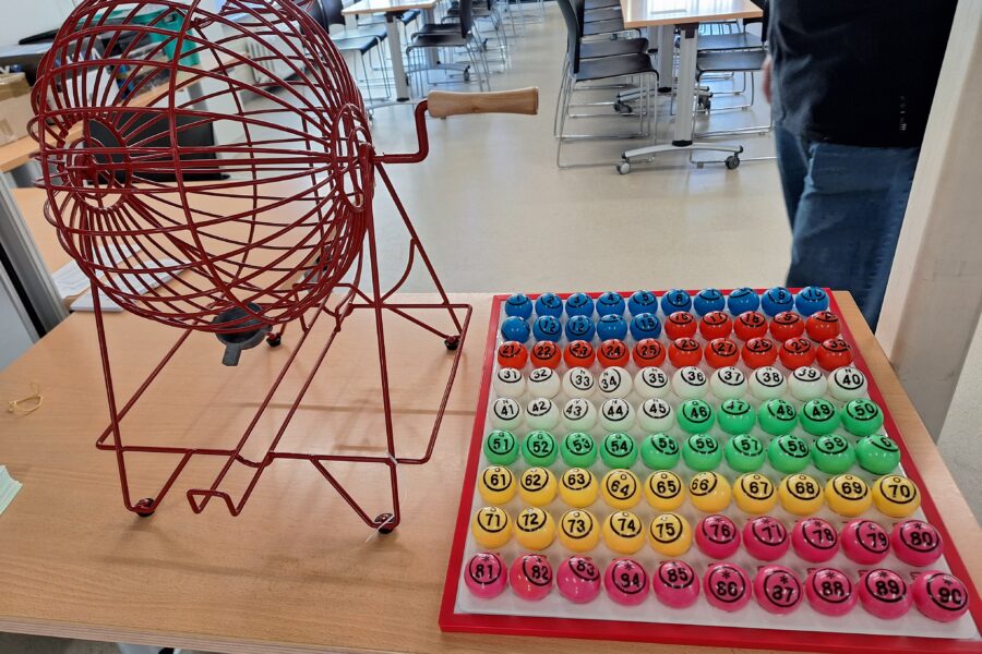 Bingo 2024