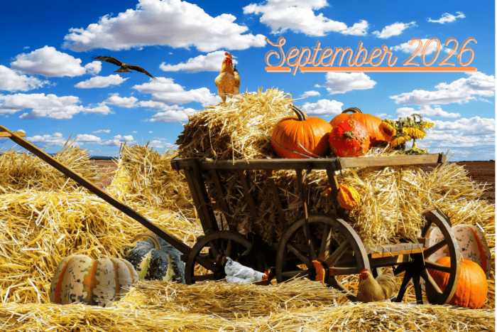 September 2026
