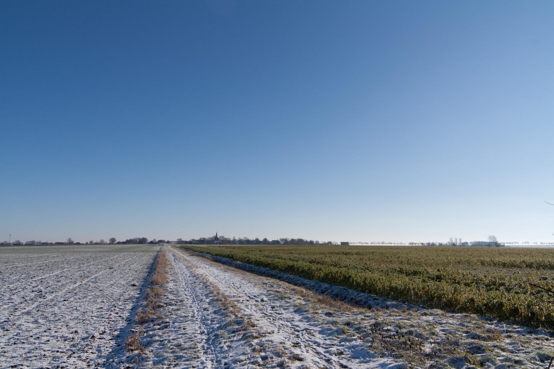 wandeling veld winter