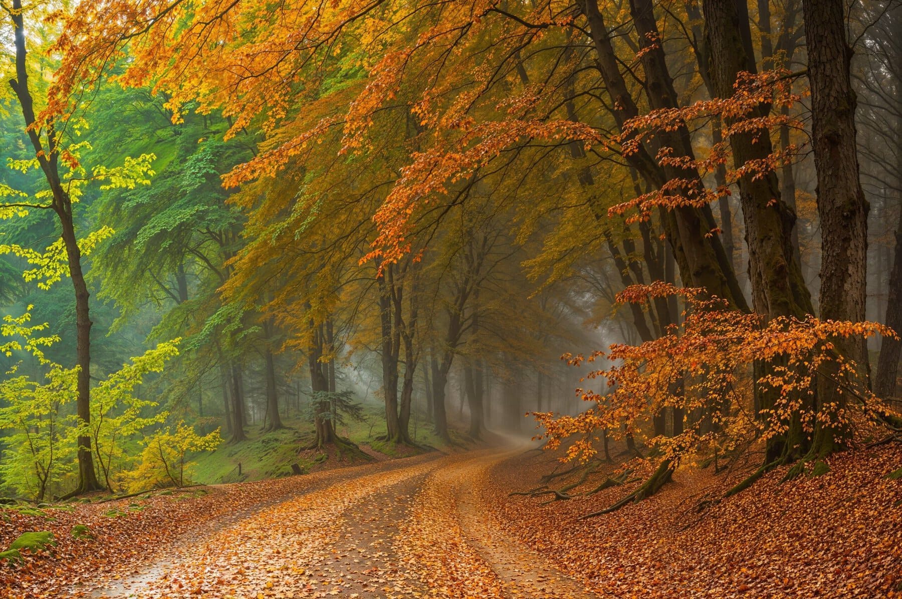 Herfst 03