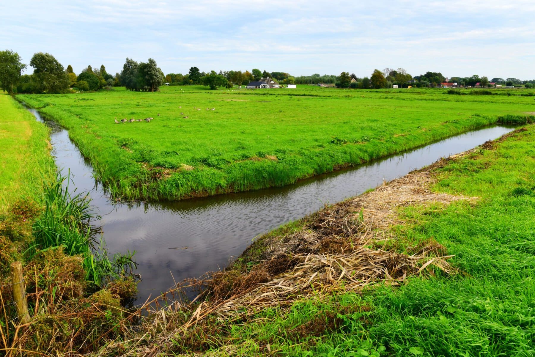 polder