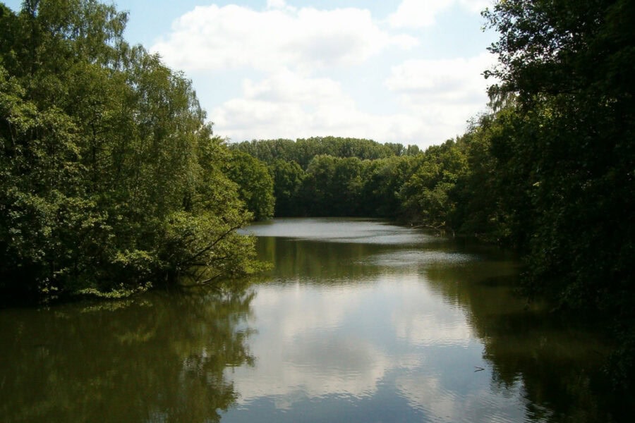 2026 09 26 Wandeling Fort V En Hof Ter Linden Edegem