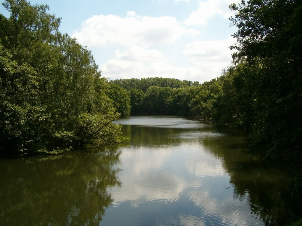 2026 09 26 Wandeling Fort V En Hof Ter Linden Edegem