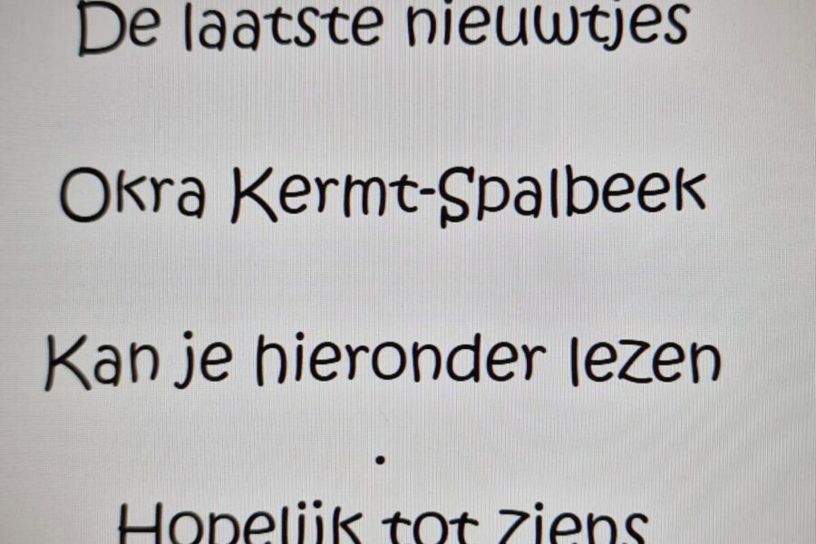 Beeldje Vr Nieuwsbrief
