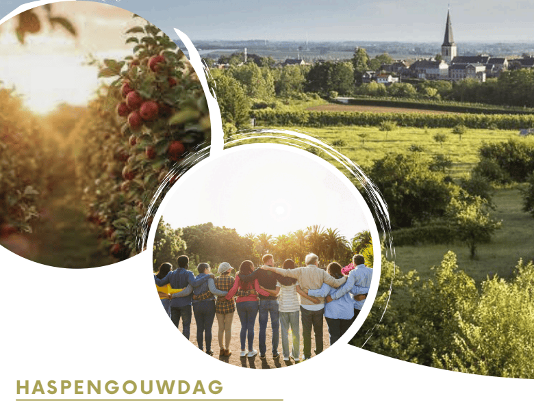 Haspengouwdag 10oktober2026