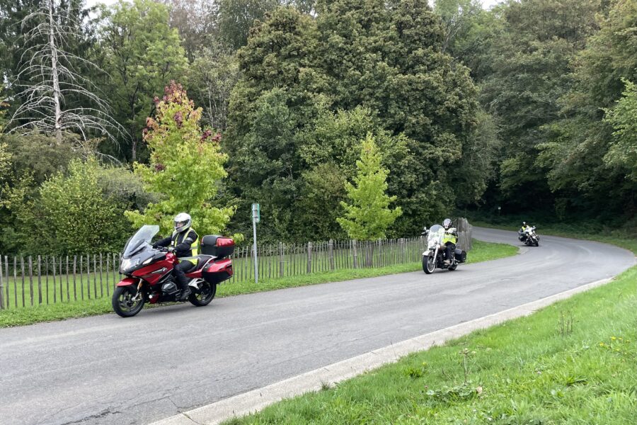 LOM Luikse ballenrit