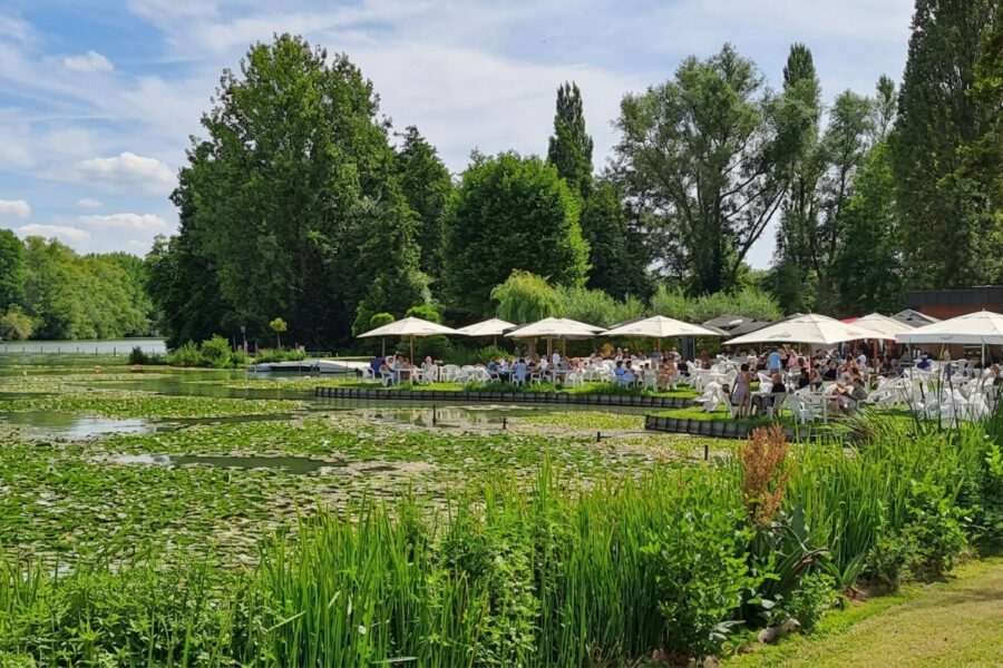 Weiken Overmere Donk