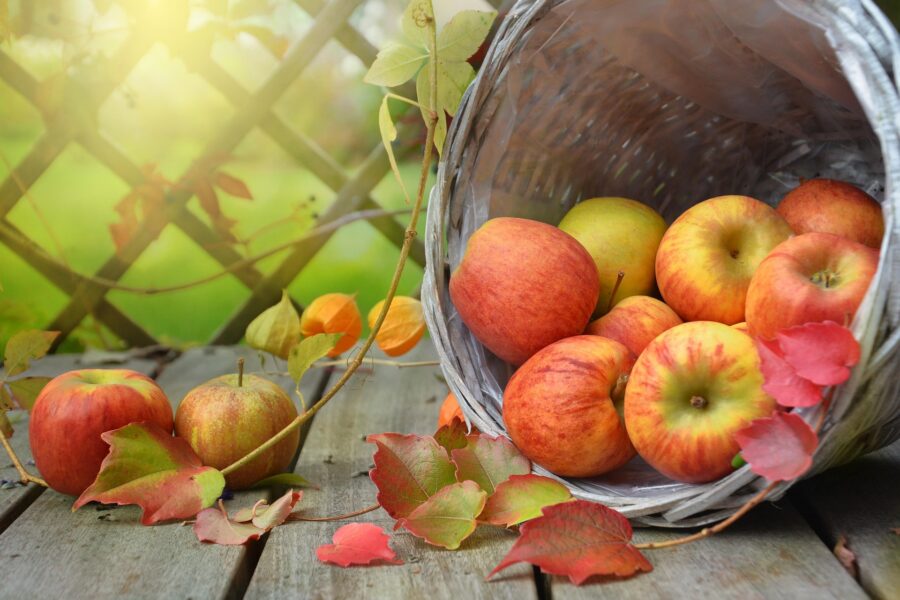 Herfst