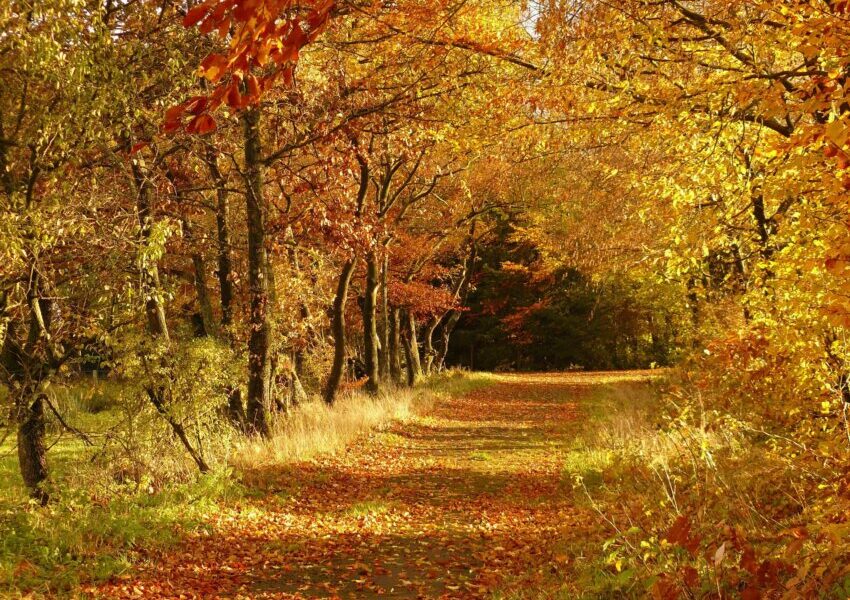 Herfstsfeer