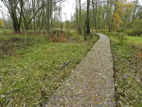 Hobokense Polder