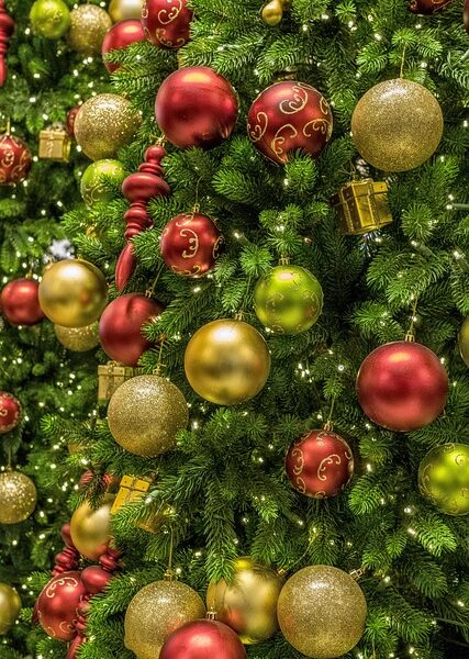 Kerstboom