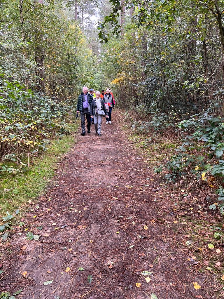Seniorenwandeling10.23