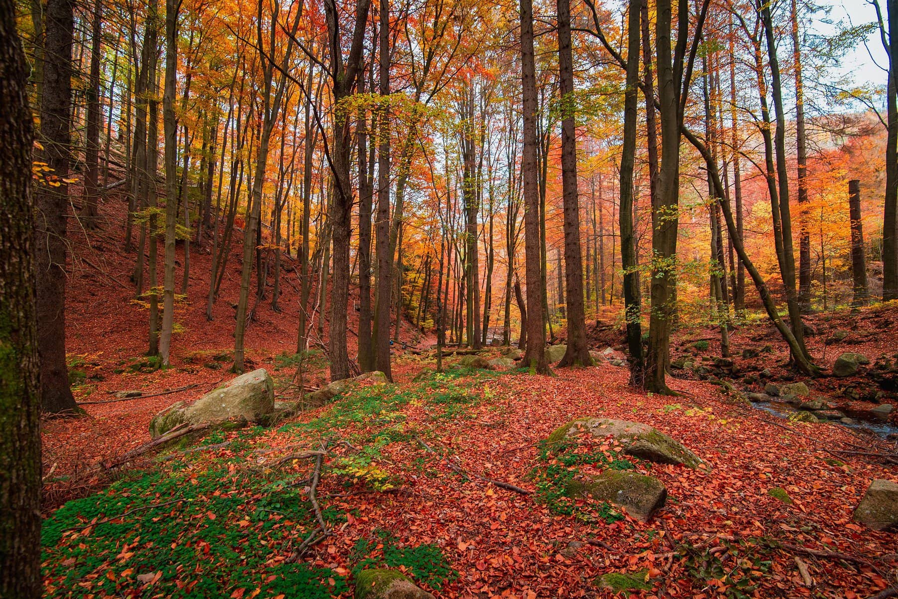 Herfst