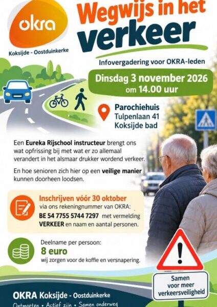 Wegwijs In Het Verkeer Met Okra3