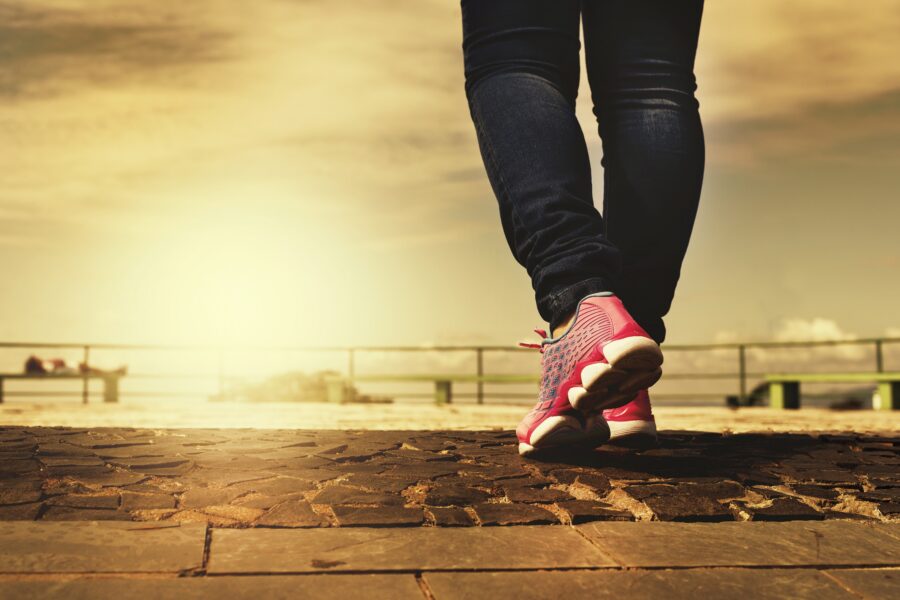 Fotorech Legs 2635038